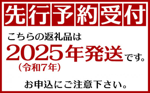 沖縄県東村のふるさと納税 TADAO GOLD　家庭用（無冠芽）1玉　約2kg【ゴールドバレル】2025年発送 ゴールドバレル パインアップル タダオゴールド たまき ただお 逸品 パイン職人 パイナップル 国産パイン 家庭用 パイン 匠 高級フルーツ 南国フルーツ 特別 希少 玉城忠男 農家直送 沖縄 東村