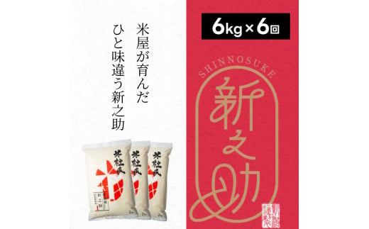 【6ヶ月定期便】 特別栽培米 新之助 6kg (2kg×3袋)×6回 米杜氏 壱成 白米 精米 大粒 つや 光沢 弾力 芳醇 1H24085 1090142 - 新潟県阿賀野市