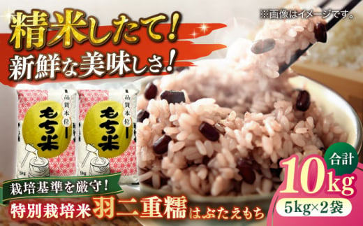 【新米：令和6年産】滋賀県産【特別栽培米】羽二重糯（はぶたえもち）5kg×2　滋賀県長浜市/株式会社ＴＰＦ [AQCQ011] 米 お米 もち米 餅米 10kg  1500570 - 滋賀県長浜市