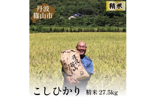 令和6年産 新米】丹波篠山産コシヒカリ玄米30kg - 兵庫県丹波篠山市｜ふるさとチョイス - ふるさと納税サイト