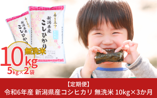 [定期便10kg×3ヶ月] 令和6年産 無洗米 新潟県産コシヒカリ（こしひかり） 計30kg 3か月（3ヵ月）連続でお届け  [株式会社白熊]【041S003】 868253 - 新潟県三条市