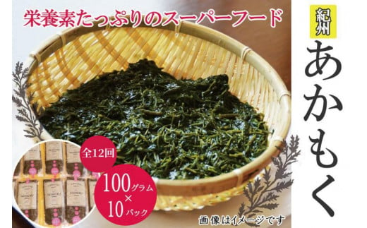 紀州あかもく 定期便 全12回 由良町産 100g×10パック 1049094 - 和歌山県由良町