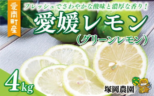 数量限定 愛媛 レモン ( グリーンレモン ) 4kg 10000円 柑橘 サイズ 不揃い 贈答用 ギフト 家庭用 檸檬 国産 フルーツ 果物 果実 産地直送 農家直送 期間限定 特産品 瀬戸内 ワックス 防腐剤 不使用 果汁 人気 新鮮 レモネード 塩レモン レモン酢 レモンソース はちみつレモン レモンケーキ レモンスカッシュ レモンサワー レモン酎ハイ ビタミン 愛南町 愛媛県 塚岡農園