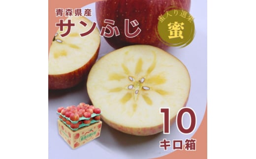 糖度光センサー選果 蜜入りサンふじ10キロ箱 26～46玉＜11月下旬より発送＞産地直送 青森県産【1326602】 413338 - 青森県青森市