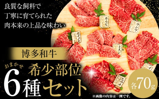 博多和牛 希少部位 おまかせ 6種 セット 株式会社木村食品《90日以内に出荷予定(土日祝除く)》小竹町 博多和牛 牛肉 焼肉用 焼肉 カルビ 上カルビ カイノミ ミスジ フランク トウガラシ トモサンカク カメノコ シンシン ランプ イチボ 和牛 希少 1501599 - 福岡県小竹町