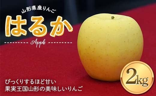 《2024年度発送》 りんご はるか 2kg(5～8玉) 秀品 果物 フルーツ FSY-1391