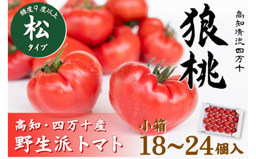 【先行予約／2025年3月中旬から発送】四万十育ち「狼桃」 糖度9度以上　松タイプ　小箱  Fdf-09　／フルーツトマト しまんと 高知 贈答 ギフト プレゼント 贈り物 お取り寄せ 熨斗 料理 サイズおまかせ とまと 野菜 高知県産 四万十 産地直送 新鮮 期間 数量限定 期間限定 数量限定 1501622 - 高知県四万十町