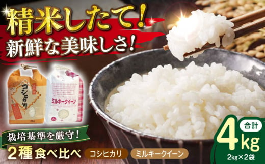 【新米：令和6年産】特別栽培米 コシヒカリ2kg・環境こだわり米 ミルキークイーン 2kg (計4kg） 滋賀県長浜市/株式会社ＴＰＦ [AQCQ001] 米 お米 白米 新米 4kg  1310400 - 滋賀県長浜市