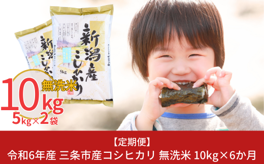 [定期便10kg×6か月] 令和6年産 無洗米 新潟県三条市産コシヒカリ  計60kg 新米 こしひかり 6か月連続でお届け [株式会社白熊]【081S004】 868500 - 新潟県三条市