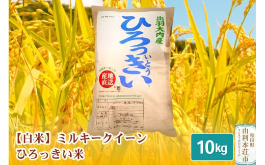 【白米】 秋田県産 ミルキークイーン 10kg 令和6年産 ひろっきい米 239821 - 秋田県由利本荘市