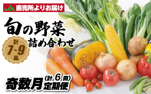 【奇数月お届け】むなかた旬のお任せセット(野菜) 7～9品【ほたるの里】_HB0172 1501907 - 福岡県宗像市