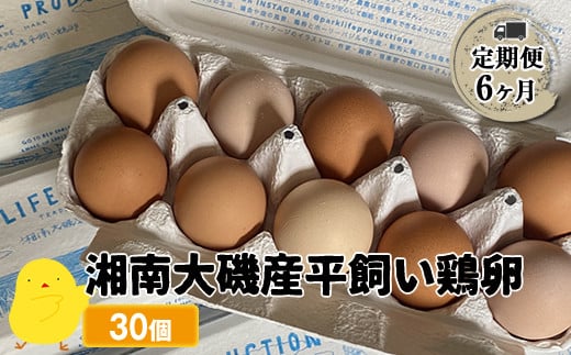 【定期便6ヶ月】 湘南大磯産平飼い鶏卵 30個＜2024年12月1日出荷開始　6ヶ月連続でお届け＞【 たまご 神奈川県 大磯町 】 1501357 - 神奈川県大磯町