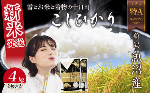 令和6年産 新潟県 魚沼産 コシヒカリ お米 4kg  (2kg×2袋) 精米済み（お米の美味しい炊き方ガイド付き） お米 こめ 白米 新米 こしひかり 食品 人気 おすすめ 送料無料 魚沼 十日町 十日町市 新潟県産 新潟県 精米 産直 産地直送 お取り寄せ 1498690 - 新潟県十日町市