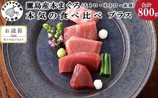 〔お歳暮ギフト対象品〕鷹島産本まぐろ本気の食べ比べプラス(大トロ・中トロ・赤身合わせて800g) 養殖本まぐろ 鷹島本まぐろ 新鮮 マグロ