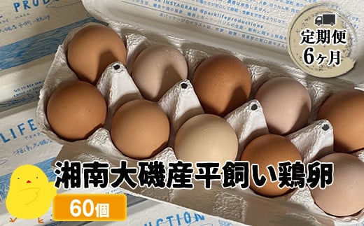 【定期便6ヶ月】 湘南大磯産平飼い鶏卵 60個＜2024年12月1日出荷開始　6ヶ月連続でお届け＞【 たまご 神奈川県 大磯町 】 1501358 - 神奈川県大磯町