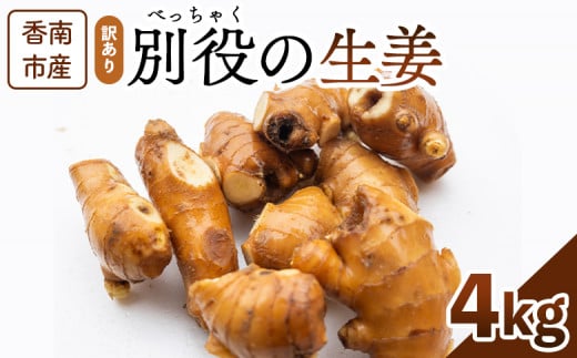 生姜 家庭用 4kg 香南市産 別役の生姜 - しょうが ショウガ ジンジャー 薬味 調味料 国産 訳アリ 家庭用 キズ 株式会社べっちゃく 高知県 香南市 bc-0006 1500368 - 高知県香南市