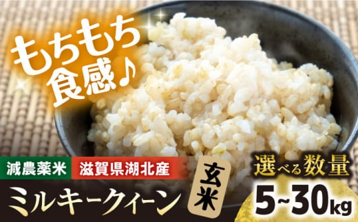 令和6年産【新米】 滋賀県湖北産 湖北のミルキークイーン 5kg (玄米)　滋賀県長浜市/株式会社エース物産[AQAK009] 1029898 - 滋賀県長浜市