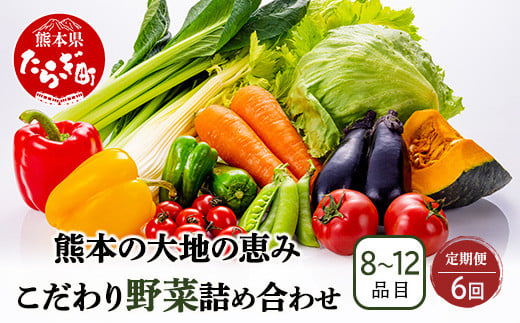 【定期便6回】熊本の大地の恵み 旬の こだわり野菜詰め合わせセット 8〜12品 （3〜4名様向け）6回配送 獲れたて 新鮮 野菜 セット 詰め合わせ 詰合せ 定期便 産地 直送 国産 季節 旬野菜 家族 ファミリー 多良木町 024-0811 1513478 - 熊本県多良木町