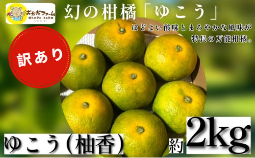 【幻の柑橘】2024年10月中旬順次発送～ 訳あり ゆこう 2kg 柑橘 徳島 みかん 柚子 すだち 酢 お酢 果汁 お酒 焼き魚 さっぱり オーガニック ふるさと納税 人気  1502164 - 徳島県小松島市