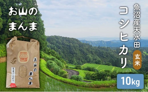 農家直送 新潟県十日町市 魚沼産天水田 コシヒカリ お山のまんま 玄米 10kg 1498675 - 新潟県十日町市