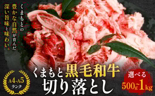 [A4〜A5]くまもと黒毛和牛 切り落とし 選べる 500g 1kg [30日以内に出荷予定(土日祝除く)] 牛肉 くまもと黒毛和牛 黒毛和牛 冷凍庫 切り落とし st-p