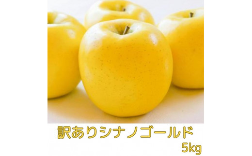 [南信州高森産][訳あり]シナノゴールド5kg [10月下旬発送]