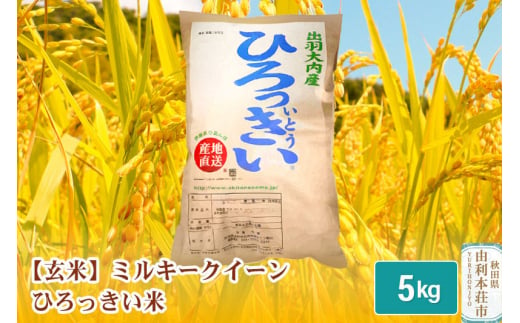 【玄米】 秋田県産 ミルキークイーン 5kg 令和6年産 ひろっきい米 239828 - 秋田県由利本荘市