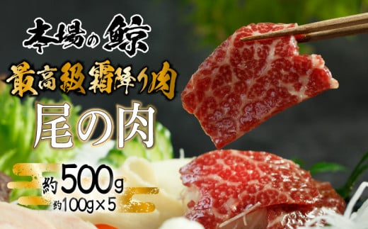 鯨 ( くじら ) 霜降り 肉 500g  冷凍 高級 おつまみ 刺身 刺し身 ユッケ カツ 竜田揚げ 揚げ物 本場 いさな 鯨 赤身肉 ブロック肉 自宅 自宅用 お中元 お歳暮 小分け 美容 ダイエット 高たんぱく 下関鯨屋日新丸 下関 山口