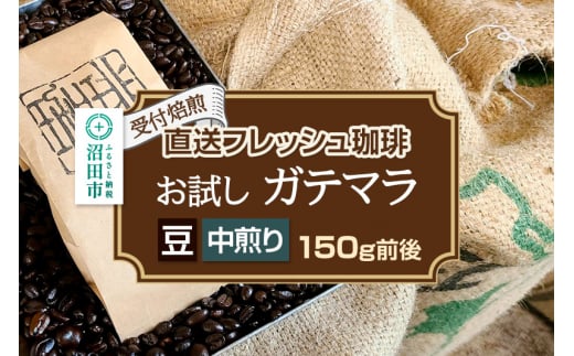 《受付焙煎》直送フレッシュ珈琲 お試し ガテマラ【豆／中煎り】約150g 珈琲倶楽部 沼田店 1495465 - 群馬県沼田市