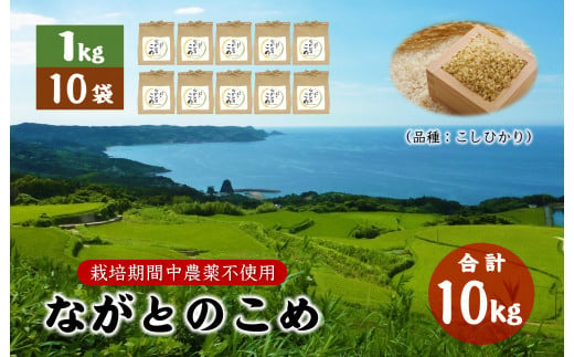 ながとのこめ こしひかり 玄米 1kg×10袋 合計10kg コシヒカリ 小分け 長門市 令和6年度産 1276335 - 山口県長門市