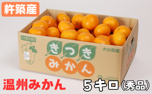 杵築産 温州みかん5kg（秀品） ／ みかん 柑橘類 5kg 11月 12月 1月 先行予約 温州みかん フルーツ ＜132-001_5＞