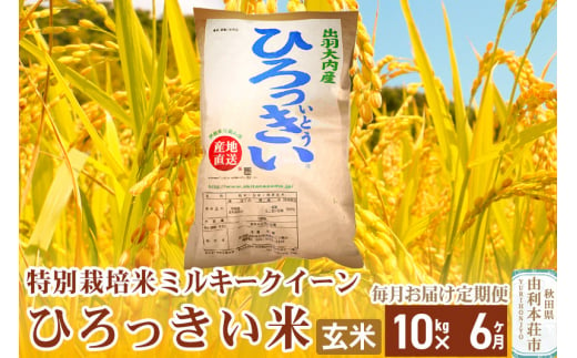 《定期便6ヶ月》【玄米】 秋田県産 ミルキークイーン 10kg 令和6年産 ひろっきい米 1422148 - 秋田県由利本荘市