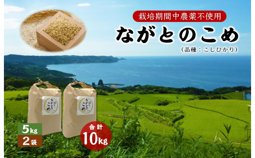 ながとのこめ こしひかり コシヒカリ 5kg×2袋 合計10ｋｇ 玄米 長門市 令和6年度産 1276391 - 山口県長門市