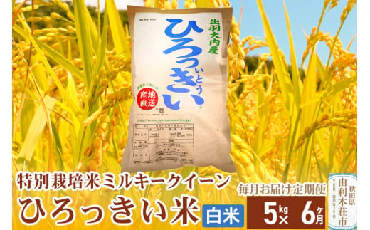 《定期便6ヶ月》【白米】 秋田県産 ミルキークイーン 5kg  令和6年産 ひろっきい米 1422142 - 秋田県由利本荘市