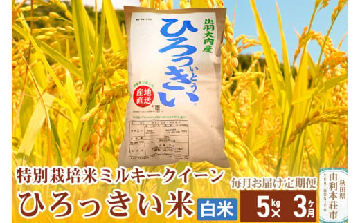 《定期便3ヶ月》【白米】 秋田県産 ミルキークイーン 5kg  令和6年産 ひろっきい米 1422141 - 秋田県由利本荘市