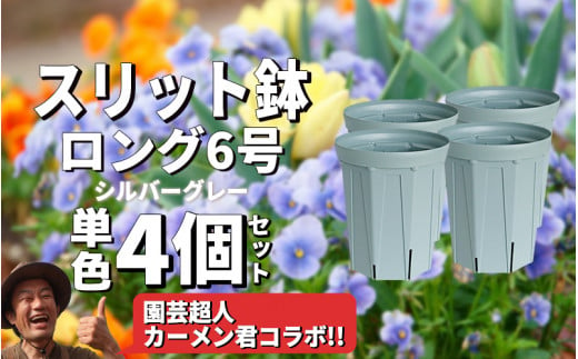 スリット鉢4個 6号 シルバーグレー 1502955 - 愛知県南知多町