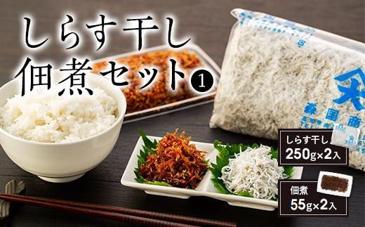 【土佐湾からの贈りもの】しらす干し佃煮セット(1) 444311 - 高知県南国市