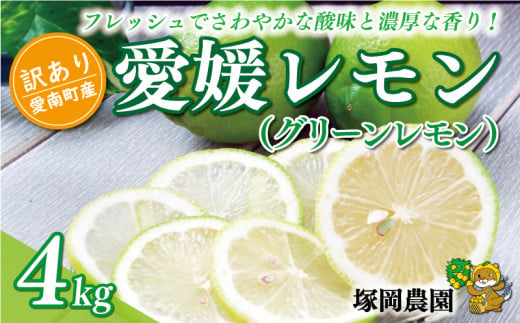 数量限定 訳あり 愛媛 レモン ( グリーンレモン ) 4kg 8000円 柑橘 サイズ 不揃い 家庭用 檸檬 国産 フルーツ 果物 果実 産地直送 農家直送 期間限定 特産品 瀬戸内 ワックス 防腐剤 不使用 果汁 人気 新鮮 レモネード 塩レモン レモン酢 レモンソース はちみつレモン レモンケーキ レモンスカッシュ レモンサワー レモン酎ハイ ビタミン 規格外 愛南町 愛媛県 塚岡農園