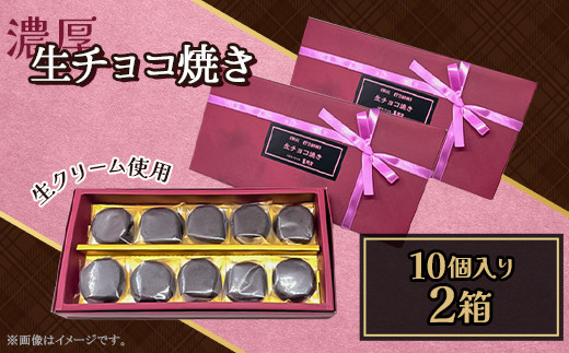 生チョコ焼き20個入り（10個入り約180g×2ケース） 637972 - 埼玉県皆野町