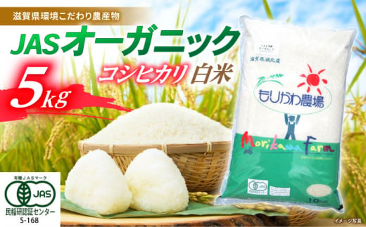 【新米：令和6年産】滋賀県産 JASオーガニック コシヒカリ 白米 5kg 　滋賀県長浜市/有限会社もりかわ農場 [AQBL009] 米 お米 白米 新米 5kg  米 お米 ご飯 ごはん ゴハン 1310550 - 滋賀県長浜市