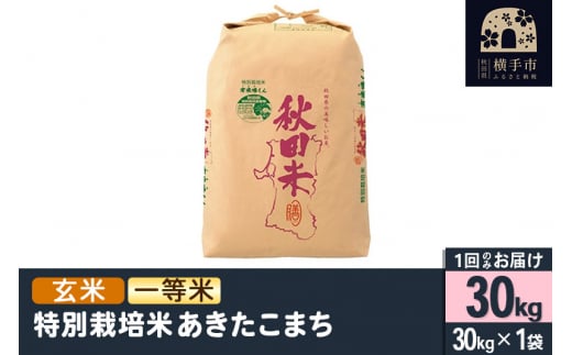 【玄米】令和6年産 特別栽培米あきたこまち（一等米） 30kg 1500463 - 秋田県横手市