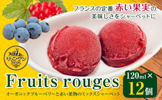 Fruits rouges (フリュイ ルージュ) オーガニックブルーベリー と 赤い果実 の ミックス シャーベット120ml × 12個 CAP’TAIN 《90日以内に出荷予定(土日祝除く)》ふるさと納税 徳島県 美馬市 ブルーベリー カシス シャーベット デザート おやつ 送料無料