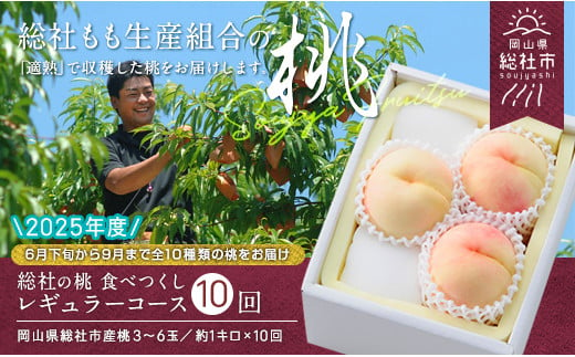 【10回定期便】桃 食べつくしレギュラーコース　岡山県総社もも生産組合【2025年産先行予約】25-140-001 1321884 - 岡山県総社市