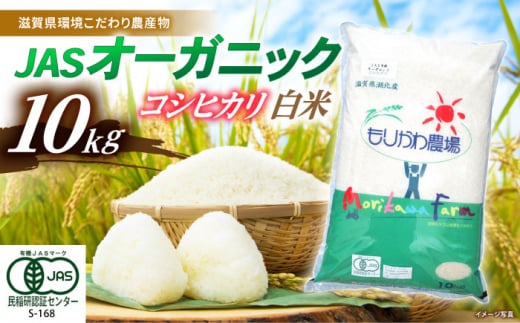 【新米：令和6年産】滋賀県産JASオーガニックコシヒカリ白米10kg 令和6年産 滋賀県長浜市/有限会社もりかわ農場 [AQBL003] 米 お米 白米 新米 10kg  米 お米 ご飯 ごはん ゴハン 1310540 - 滋賀県長浜市