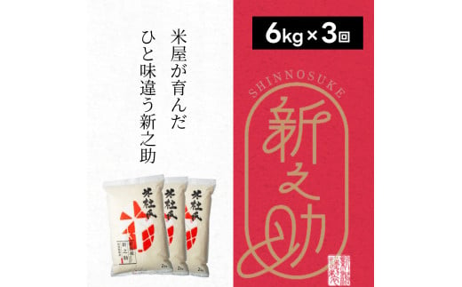  【3ヶ月定期便】 特別栽培米 新之助 6kg (2kg×3袋)×3回 米杜氏 壱成 白米 精米 大粒 つや 光沢 弾力 芳醇 1H23043 1090141 - 新潟県阿賀野市