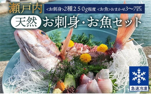 瀬戸内「天然」お刺身・お魚セット（急速冷凍）| 魚介類 海の幸 海鮮 詰め合わせ 国産 日本産 広島県産 即日加工 急速凍結 鮮度抜群 マダイ マダコ 刺身 小さめ 魚 瀬戸内海 1251242 - 広島県竹原市