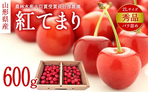 [希少数量限定]農林水産大臣賞受賞 長谷部農園 紅てまり 600g バラ詰め 秀品 2Lサイズ 桜桃 山形県産 さくらんぼ [先行予約 2025年度6月発送]