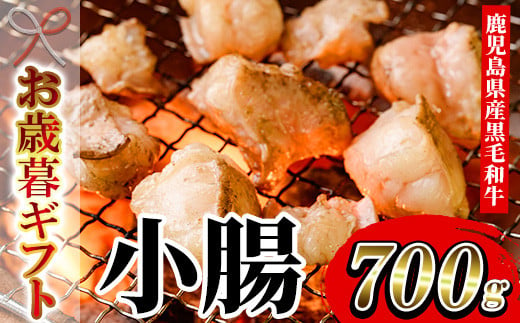 【令和6年お歳暮対応】鹿児島県産 黒毛和牛 小腸 ホルモン 700g 冷凍 国産 鹿児島県産 黒毛和牛 小腸 モツ 生ホルモン 生冷凍ホルモン お取り寄せ 焼肉 もつ鍋 にも オススメ【SA-253H】 1523898 - 鹿児島県いちき串木野市