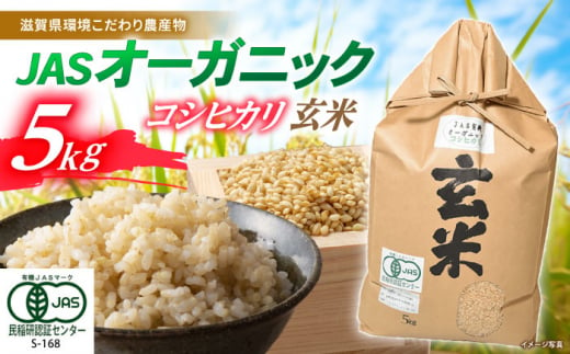 【新米：令和6年産】滋賀県産 JASオーガニック コシヒカリ 玄米 5kg　滋賀県長浜市/有限会社もりかわ農場 [AQBL010] 米 お米 玄米 新米 5kg  米 お米 ご飯 ごはん ゴハン 1310551 - 滋賀県長浜市