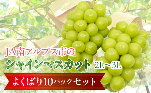 [令和7年発送先行予約]南アルプス市産シャインマスカットよくばり10パックセット(2L〜3L) ALPAA006 山梨 山梨県 ぶどう 葡萄 ブドウ マスカット 種なし 大粒 フルーツ くだもの 果物 高級 新鮮 産地直送 贈答 ギフト 家庭用 大容量 セット たくさん ボリュームパック 詰め合わせ 2025年